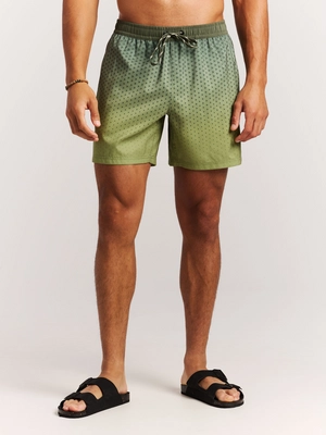 5---71761013_855_model_front-half_01