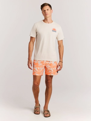 5---71761012_917_model_front-full_02