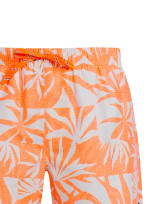 3---71761012_917_detail