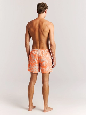 9---71761012_917_model_back-full_01