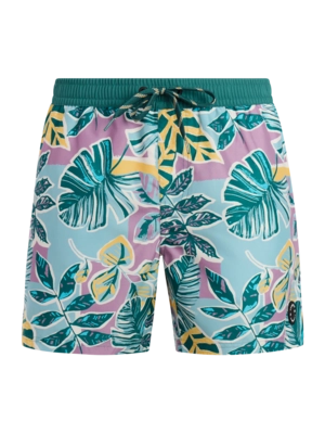 Beachshort Protest Men PRTRayger Plum Mauve Regular Fit