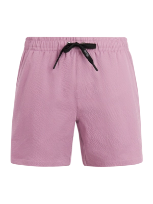 Beachshort Protest Men PRTWytona Plum Mauve Regular Fit