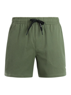Beachshort Protest Men PRTWytona Thyme Regular Fit