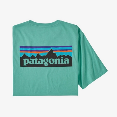 T-Shirt Patagonia Hommes P6 Logo Organic T-Shirt Light Beryl