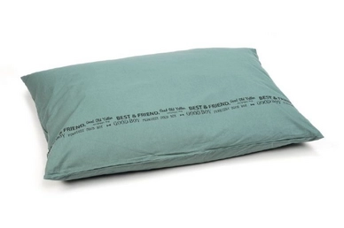 Hondenkussen Beeztees Best Friend Groen