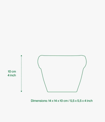 5---Asset_6 (1)