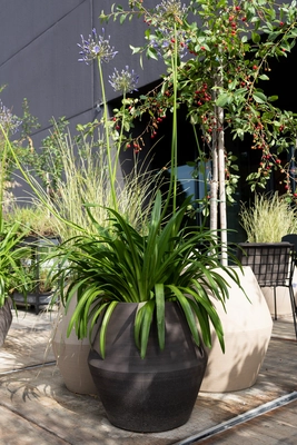 3---B4920012_sfeer_terrace_6