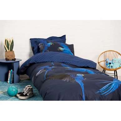 Blue_Parrot_1persoons_rgb-4175