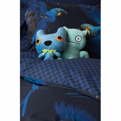Blue_Parrot_1persoons_rgb-4230