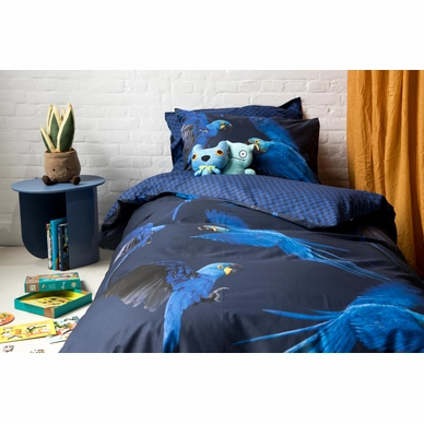 Blue_Parrot_1persoons_rgb-4237