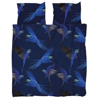 Blue_Parrot_56