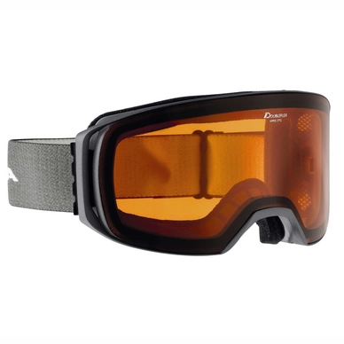 Ski Goggles Alpina Arris DH Anthracite