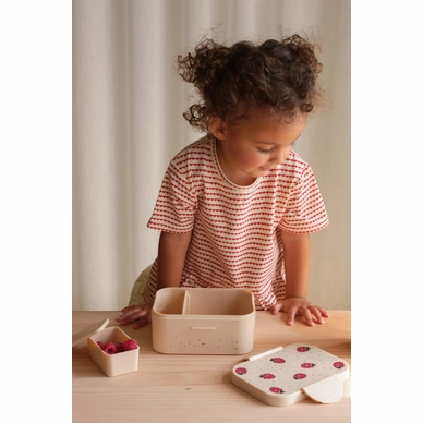 BROODTROMMEL-Broodtrommels-KS5240-LADYBUG-2