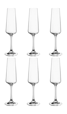 Champagneglas Leonardo Paladino 220 ml (Set van 6)