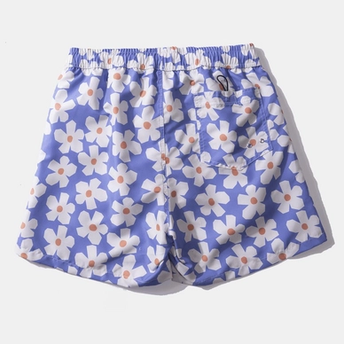 CLASSICPOCKETWALSHPURPLE_B-367283_1200x1800