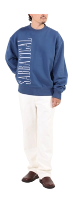 2---SAB-PRODUCT__0005_SabbaticalFW25-12101