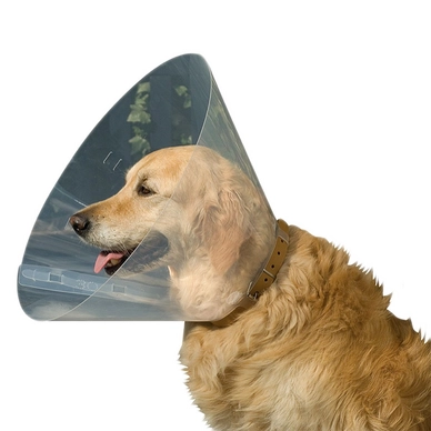 Hondenkraag Beeztees Transparant 28 - 33 x 12,5 cm