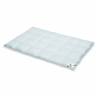 Spessarttraum Decke Premium Class Gold Medium 100% Daunen