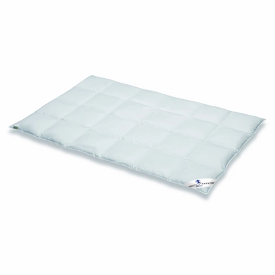 Spessarttraum Decke Premium Class Silber