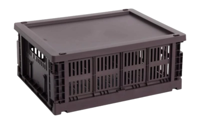 hay-colour-crate-lid-plastic-medium-bordeaux-82326