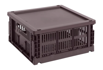 hay-colour-crate-lid-plastic-medium-squarecube-bordeaux-82328