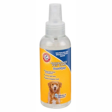 Dental Spray Arm & Hammer