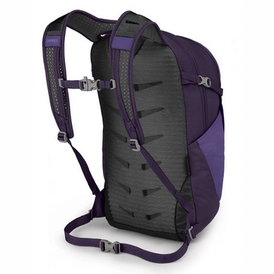 dream purple 2