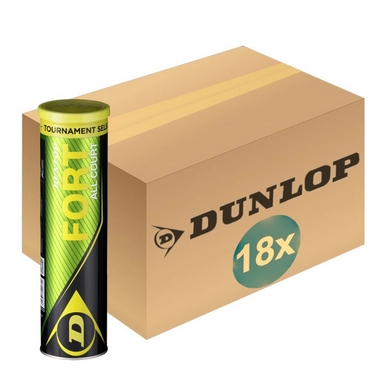 Balles de tennis Dunlop Fort All Court TS 4-Tin (Carton 18x4)