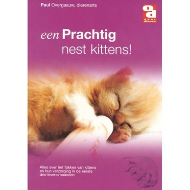 Kattenboek Een Prachtig Nest Kittens! Over Dieren