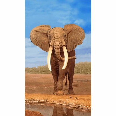Serviette de Plage Éléphant XL