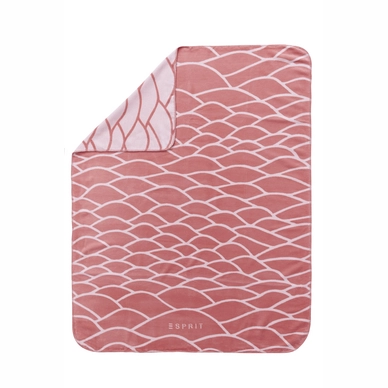 Plaid Esprit Evan Coral Pink