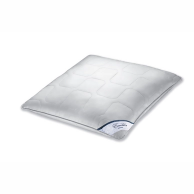 Spessarttraum Excelsior Kissen Fest (40x80cm)