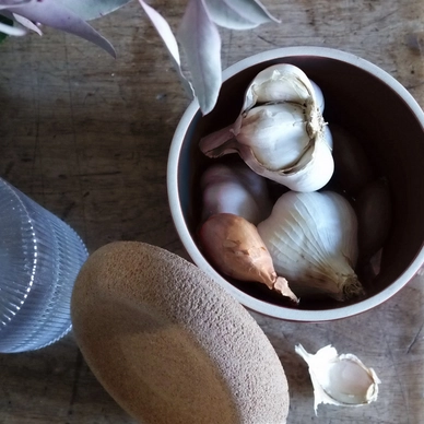 garlic-pot (1)