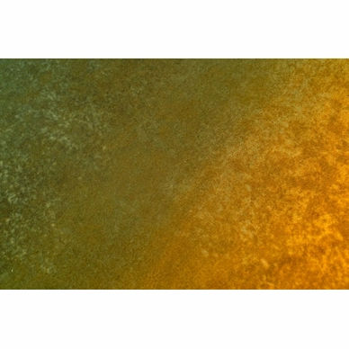 gasshoorange_1