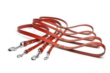 Looplijn Geniet Beeztees Leder Rood