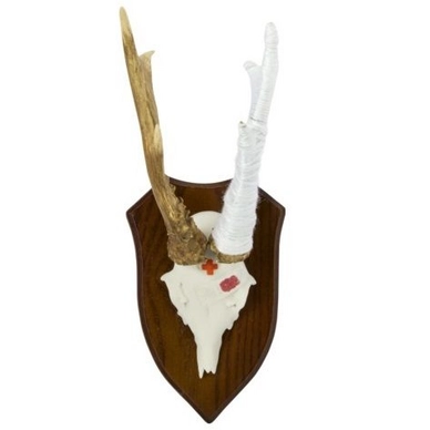 Wanddecoratie Oh My Deer Unlucky Deer
