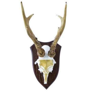 Wanddecoratie Oh My Deer Golden Bird