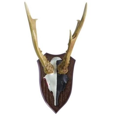 Wanddecoratie Oh My Deer Clear Shot