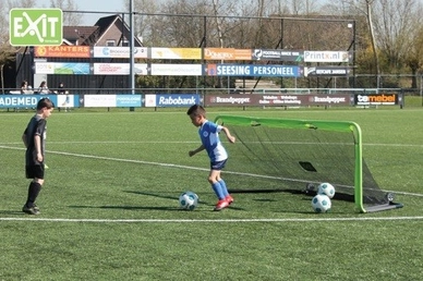 Voetbalgoal EXIT Toys Gio 300 x 100