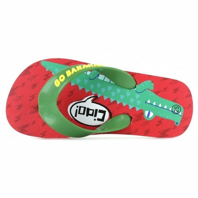 Slipper Go Banana's Boys Alligator Red Green