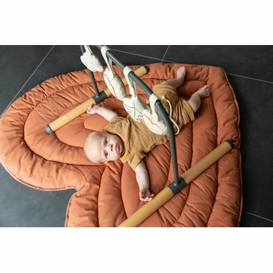 gymtoysfs_product_amb_3_1680209281