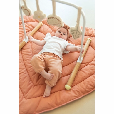gymtoysfs_product_amb_5_1680209324