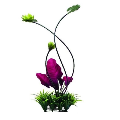 Ornament Waterlelie Hagen Groot
