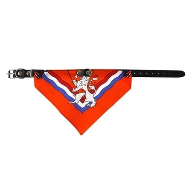 Halsband Oranje Met Zakdoek