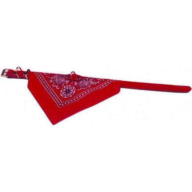 Halsband Rood Met Zakdoek