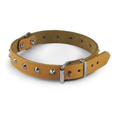 Halsband Nobby Met Nop Naturel