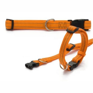 Hondenhalsband Beeztees Aventura Oranje