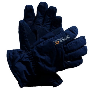 Gloves Regatta Waterproof Black Man Transition