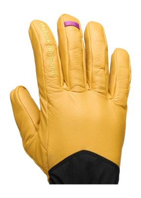 2---801163_9656_Tour_Gloves_Beeswax-Black_02-_no-bg