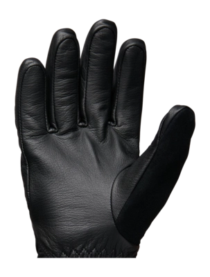 3---801163_0002_Tour_Gloves_Black_03-_no-bg